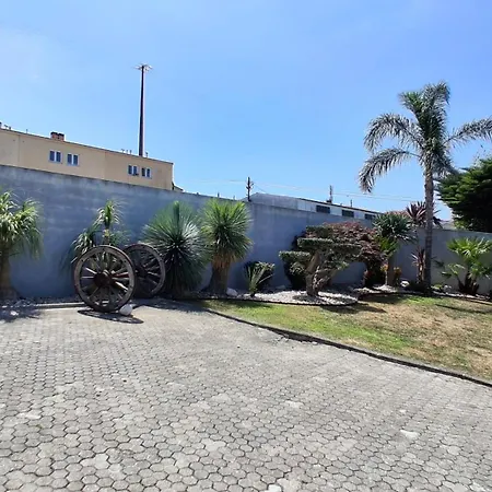 Cute House Marinho